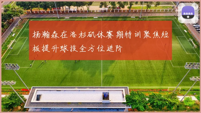 杨瀚森在洛杉矶休赛期特训聚焦短板提升球技全方位进阶