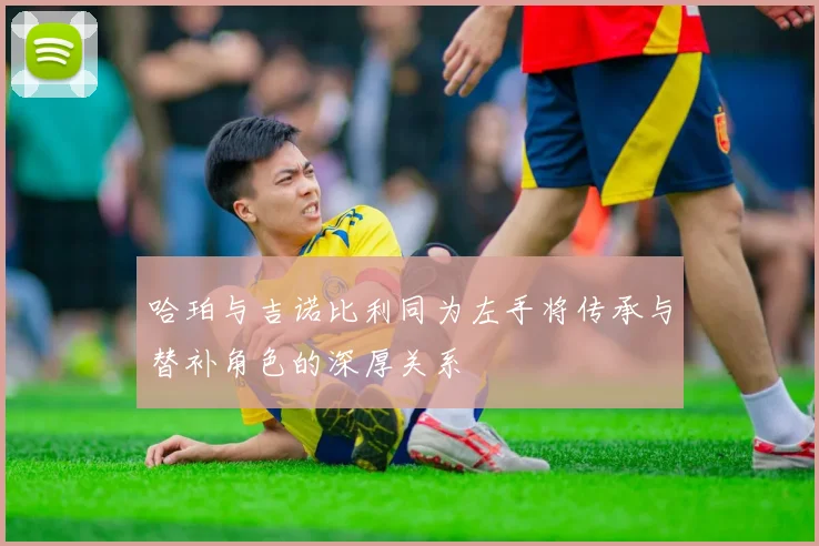 哈珀与吉诺比利同为左手将传承与替补角色的深厚关系