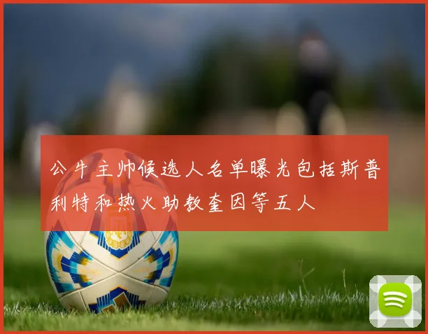 公牛主帅候选人名单曝光包括斯普利特和热火助教奎因等五人