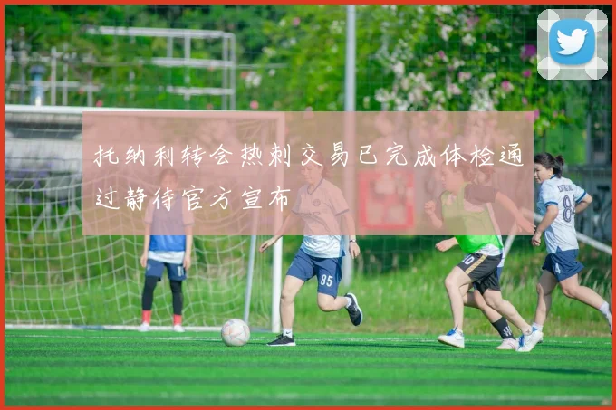 托纳利转会热刺交易已完成体检通过静待官方宣布